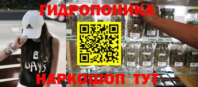 крисы Конаково
