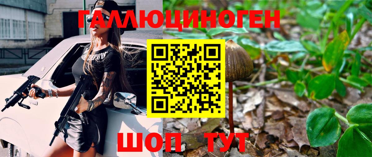 Галлюциногенные грибы Psilocybine cubensis  купить   Галлюциногенные грибы ЛСД  Кизляр 