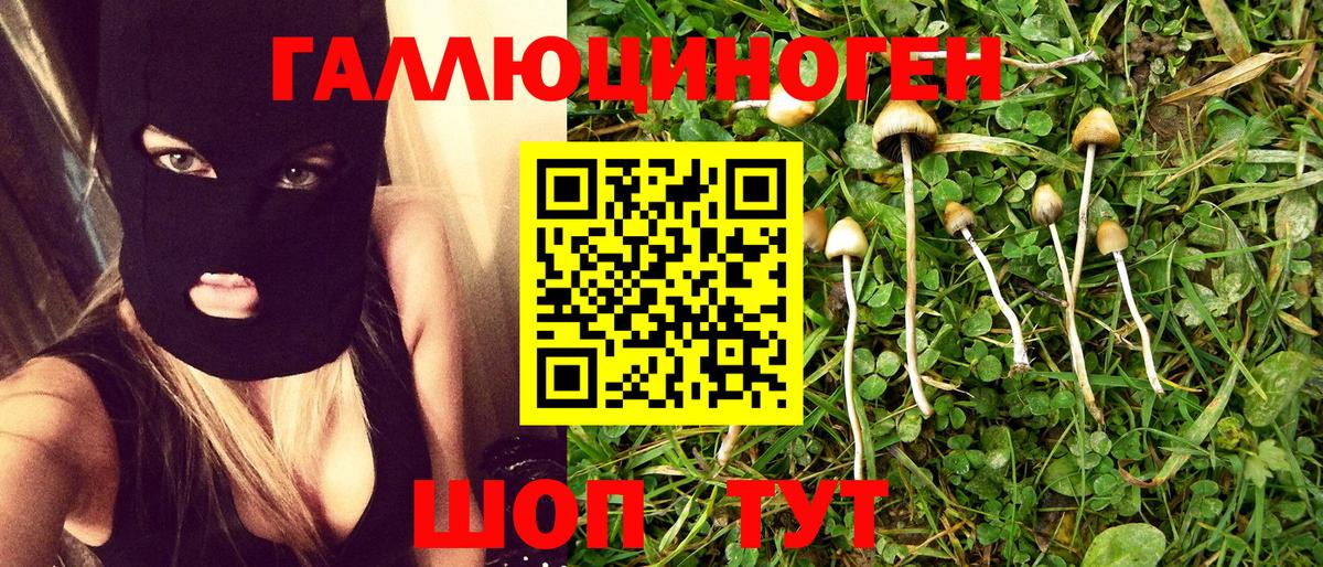 Псилоцибиновые грибы GOLDEN TEACHER  Вход с VPN  Кизляр 