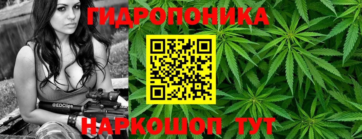 Кизляр  Бошки Шишки White Widow  МАРИХУАНА LSD WEED  Вход с VPN  Каннабис семена 